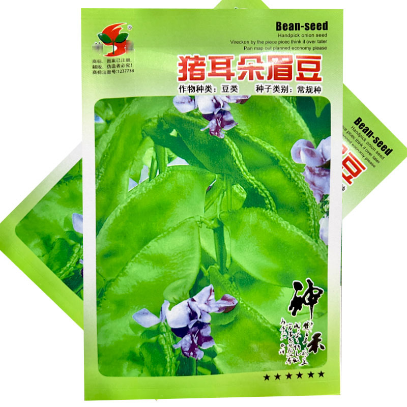 猪耳朵眉豆种子结荚多四季耐热易种植採栽时间长