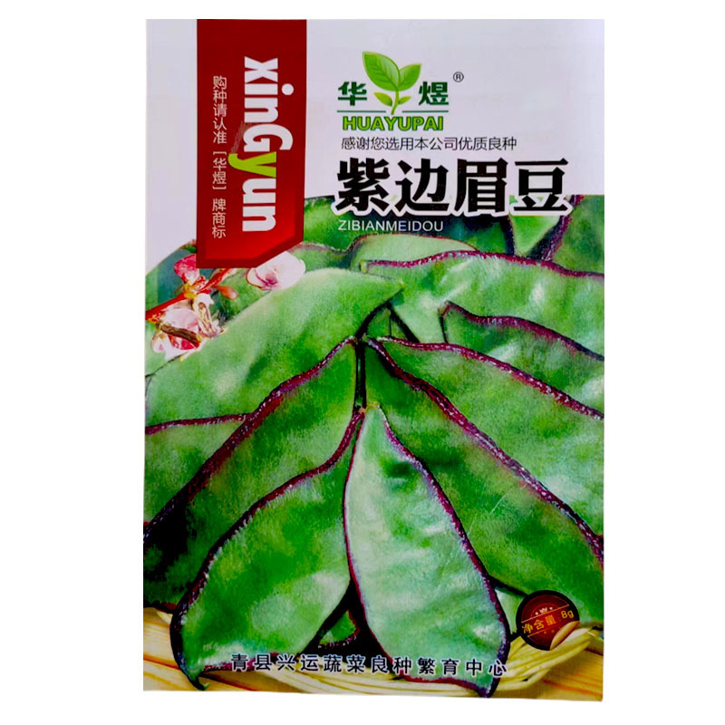 紫边眉豆种子结荚红镶边紫红边宽扁豆种籽春夏种植