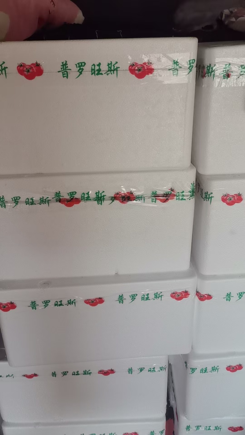 海阳口感西红柿代收代发，微商，落地配，超市，各大市场！