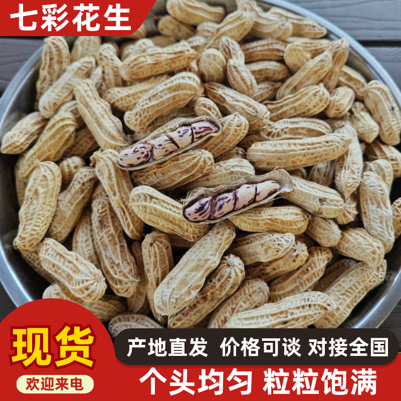 精品七彩花生货源充足对接全国质量保证产地供应欢迎咨询