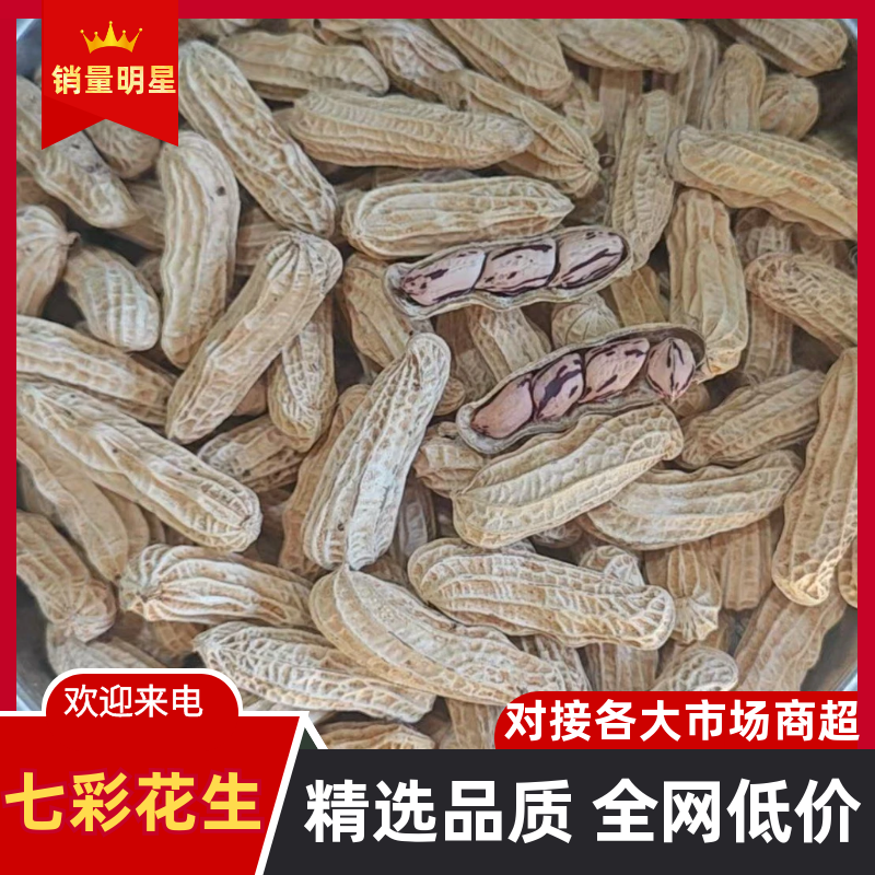 缅甸七彩花生货源充足量大从优对接全国欢迎咨询