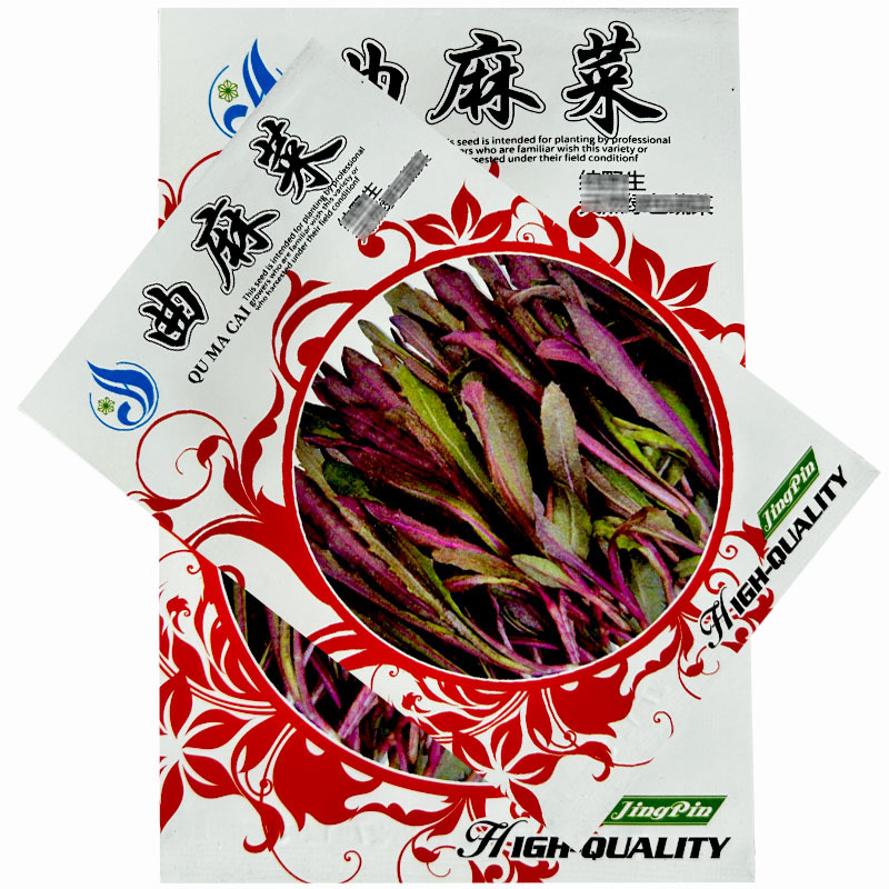 绿色曲麻菜种子批发苦荬菜籽曲曲菜籽春秋四季播种