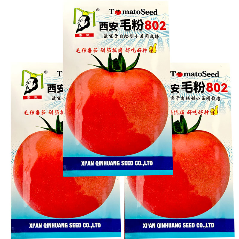 西安毛粉802番茄种子毛粉番茄种籽耐热抗病好吃好种