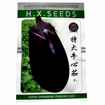 特大牛心茄种子早熟果大紫罐茄种子果肉细白疏松黑紫油亮茄子