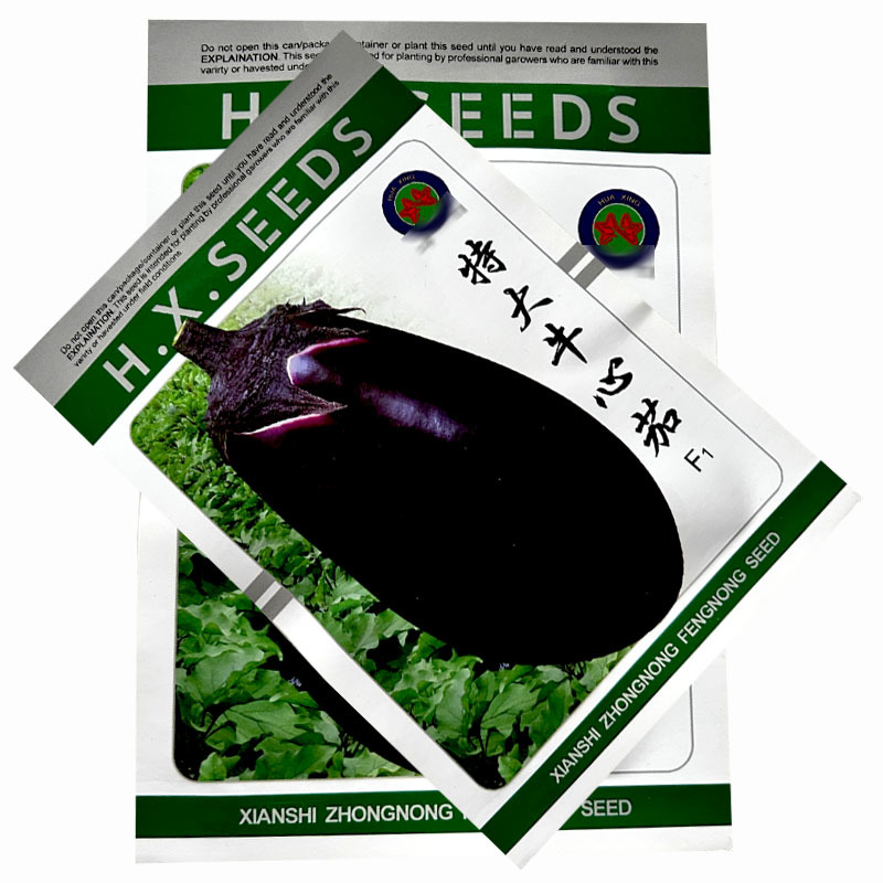 特大牛心茄种子早熟果大紫罐茄种子果肉细白疏松黑紫油亮茄子