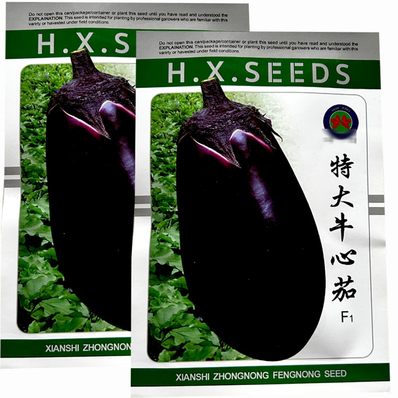 特大牛心茄种子早熟果大紫罐茄种子果肉细白疏松黑紫油亮茄子