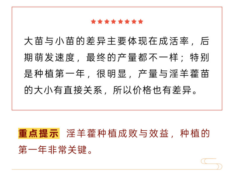 高萌发高含量柔毛淫羊藿种苗，露天淫羊藿苗
