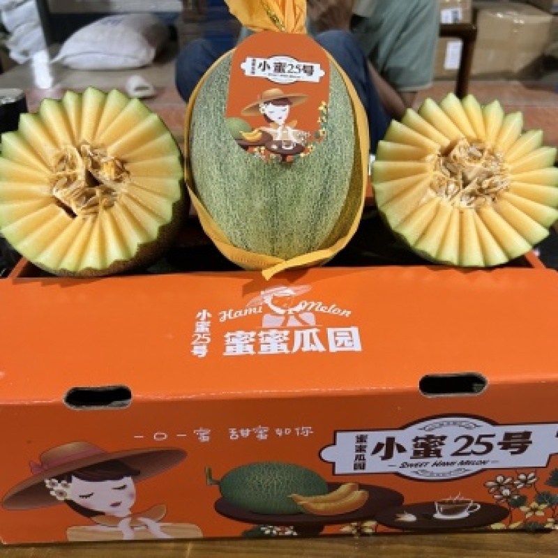 海南哈密瓜小蜜25号量大从优一手货源对接全国市场海南