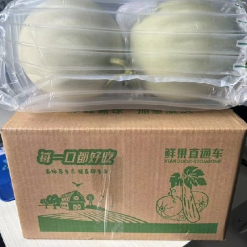 海南山东玉菇甜瓜一件代发社区团购产地直发日发万单