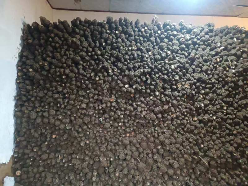 山药品质保证服务周到产地直销价格美丽欢迎咨询
