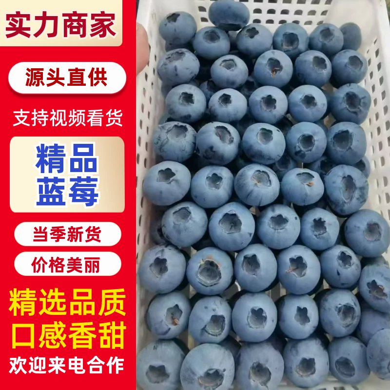 蓝莓花香25L11F6优瑞卡产地直发品质保证