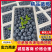 花香蓝莓山东蓝莓莒县蓝莓品种齐全纯甜无酸全国发货
