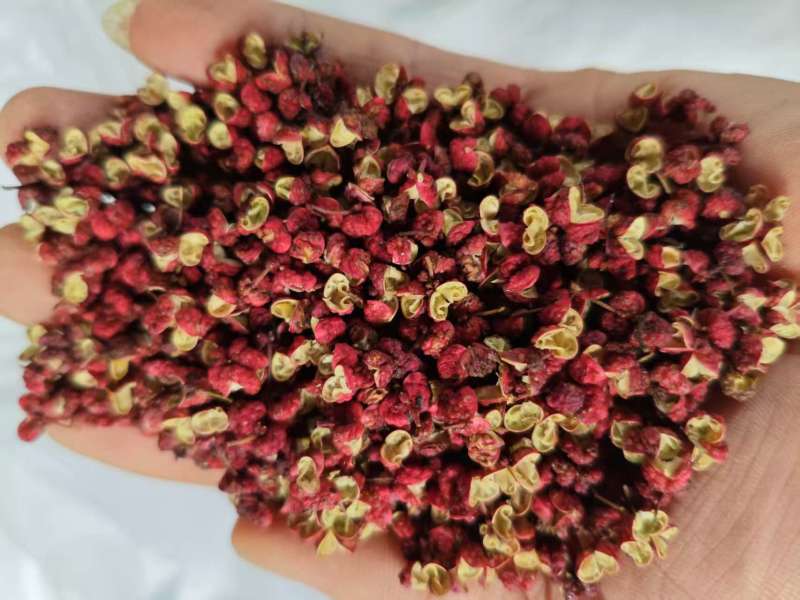 甘肃精品红花椒，大量上市，常年供货，品质保证，欢迎咨询