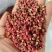 甘肃精品红花椒，大量上市，常年供货，品质保证，欢迎咨询