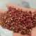 甘肃精品红花椒，大量上市，常年供货，品质保证，欢迎咨询