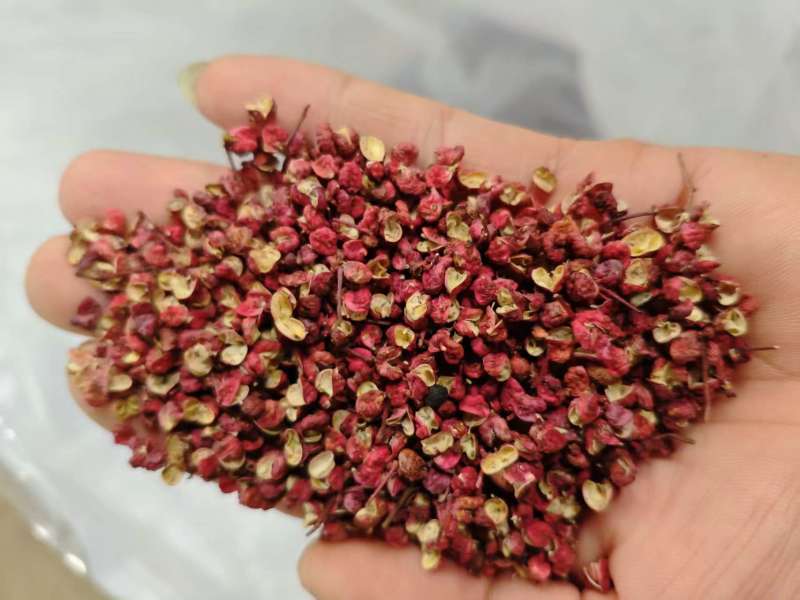 甘肃精品红花椒，大量上市，常年供货，品质保证，欢迎咨询