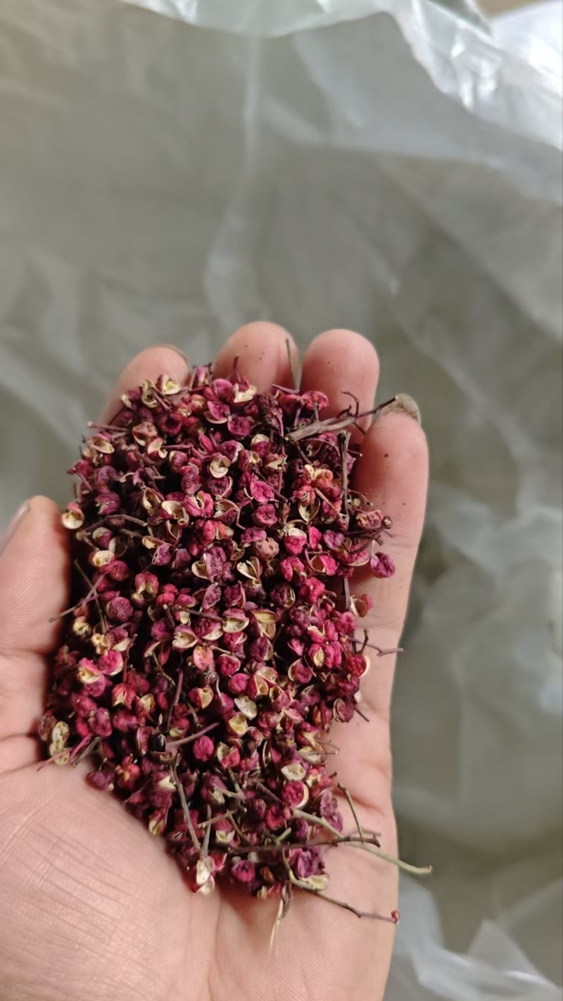 甘肃精品红花椒，大量上市，常年供货，品质保证，欢迎咨询
