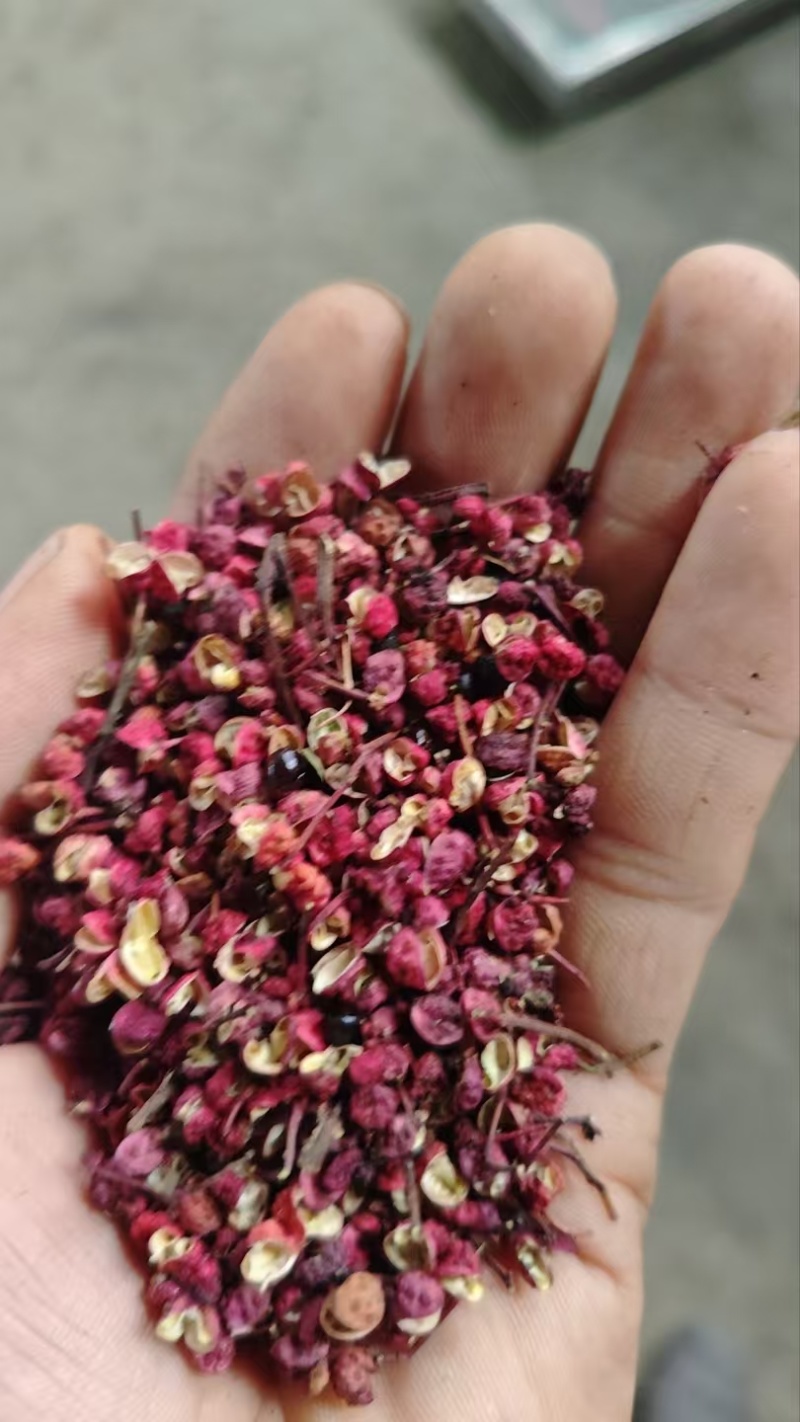 甘肃精品红花椒，大量上市，常年供货，品质保证，欢迎咨询