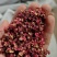 甘肃精品红花椒，大量上市，常年供货，品质保证，欢迎咨询