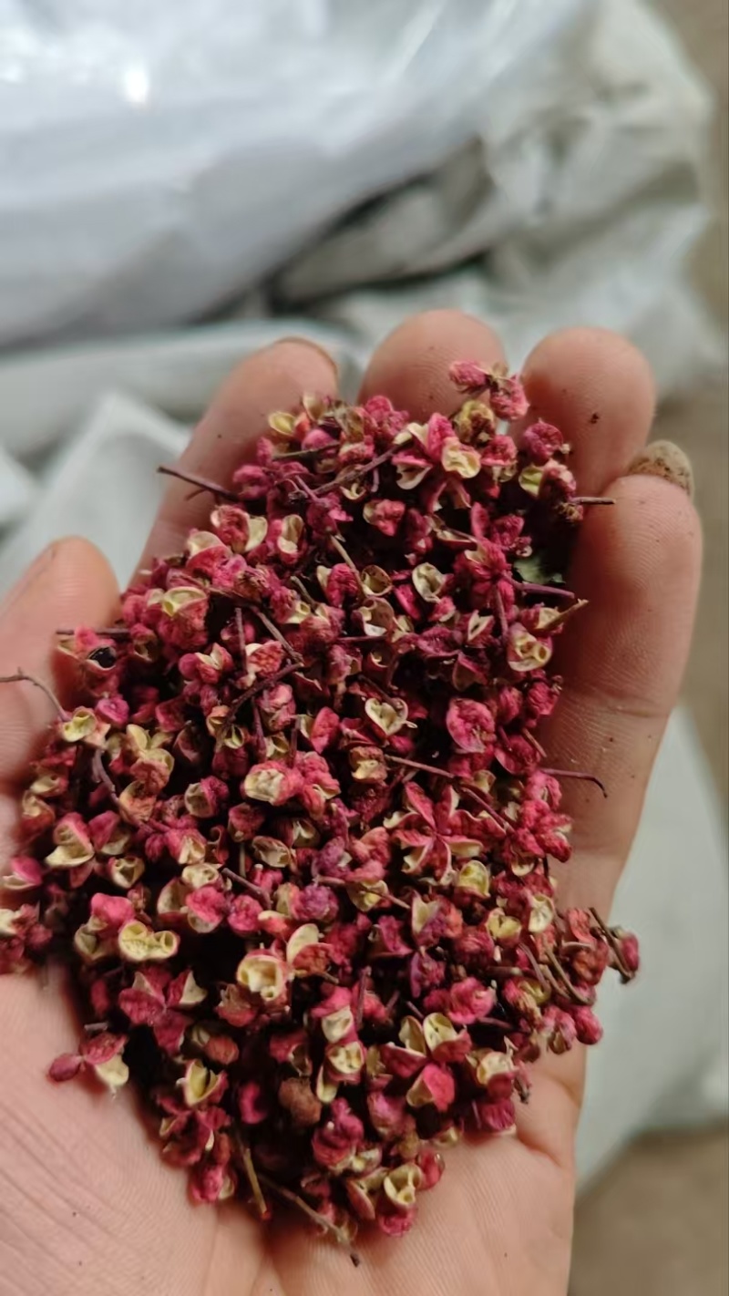 甘肃精品红花椒，大量上市，常年供货，品质保证，欢迎咨询
