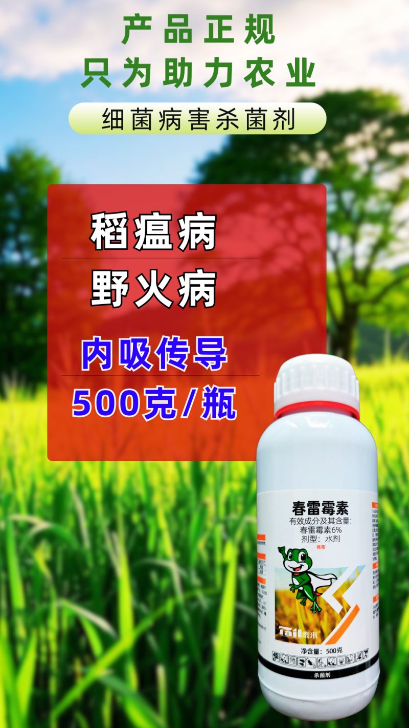 6%春雷霉素稻瘟病野火病细菌杀菌内吸渗透性杀菌剂