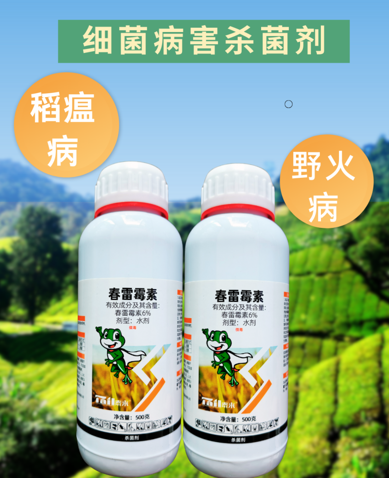 6%春雷霉素稻瘟病野火病细菌杀菌内吸渗透性杀菌剂