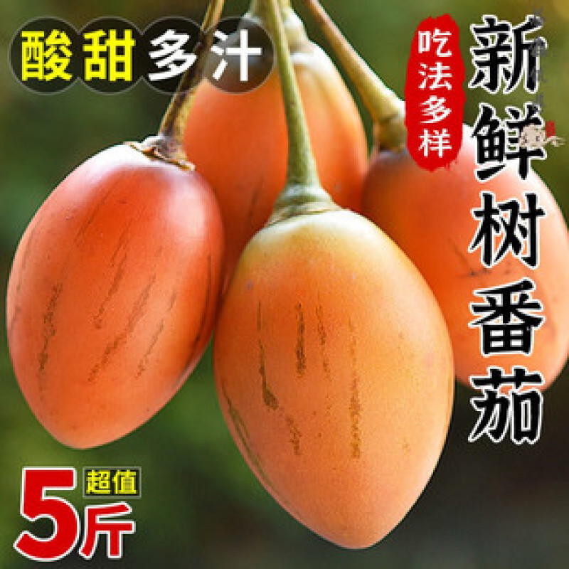 【实力推荐】大树番茄洋番茄鸡蛋果产地直发一手货源
