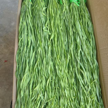 【实力推荐】贡菜云南产地现货先发量大从优可视频看货对接
