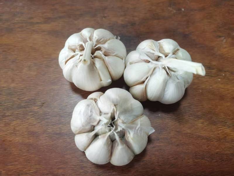 【优质大蒜】河南大蒜，规格齐全，产地直发诚信经营