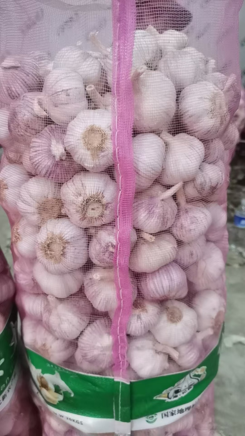 【优质大蒜】河南大蒜，规格齐全，产地直发诚信经营