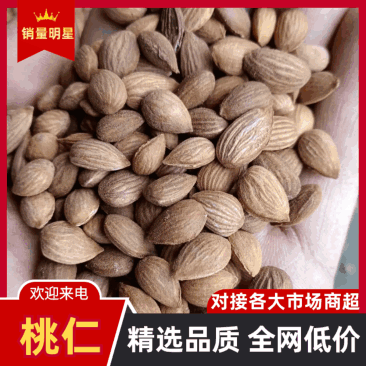 甘肃野生山桃仁，大量上市，一手货源，产地直发，欢迎咨询