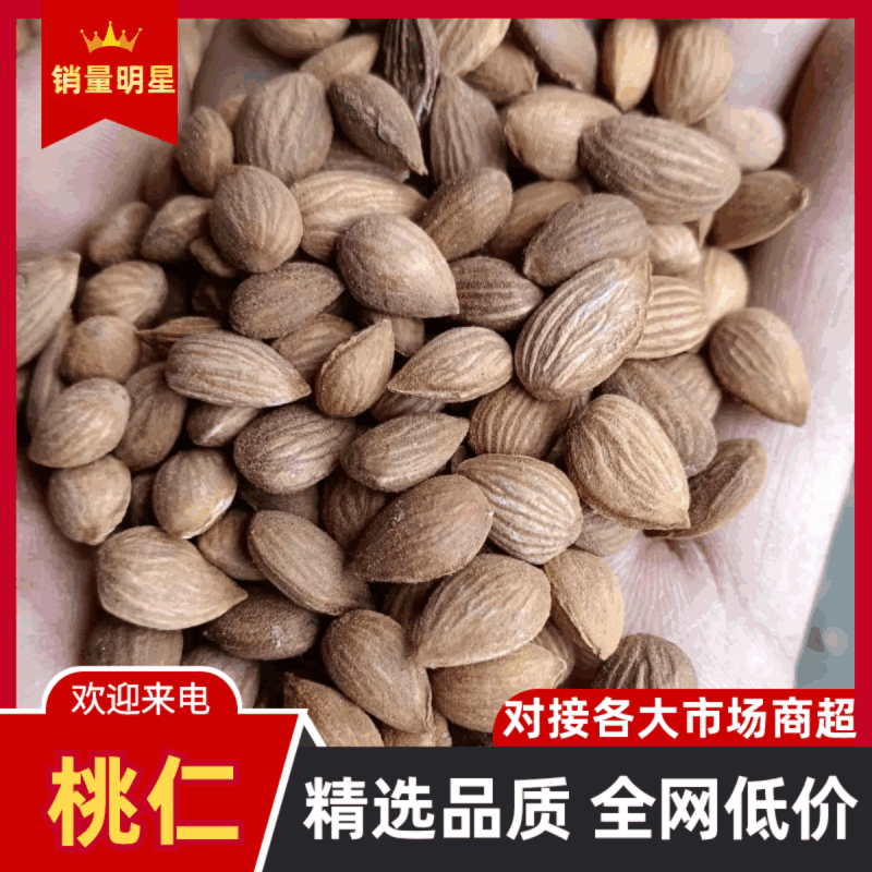 甘肃野生山桃仁，大量上市，一手货源，产地直发，欢迎咨询