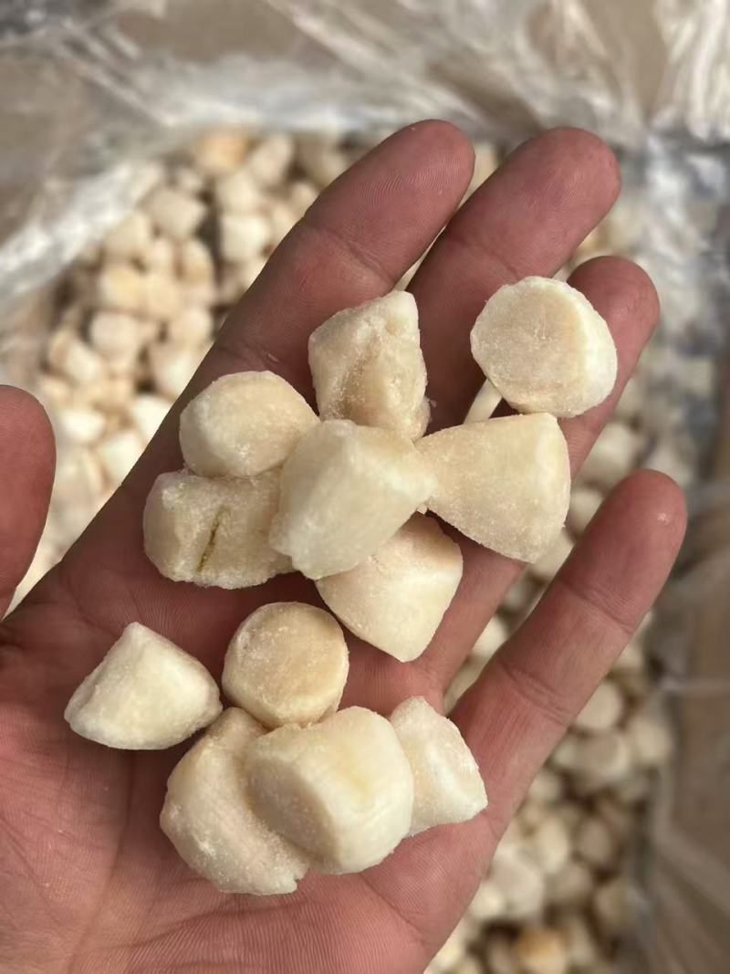 扇贝丁，莱州湾扇贝丁主打鲜度和口感