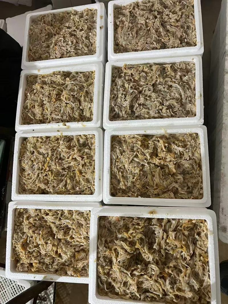 扇贝裙边，一箱5斤，去杂质不用在此加工，品质保证可视频看货