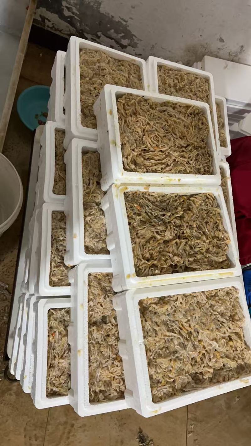 扇贝裙边，干湿都有，全规格都有质量保证童叟无欺全国发货