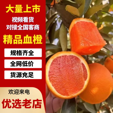 中华红橙湖北橙子秭归橙子产地直发品种齐全皮薄多汁