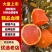 中华红橙湖北橙子秭归橙子产地直发品种齐全皮薄多汁