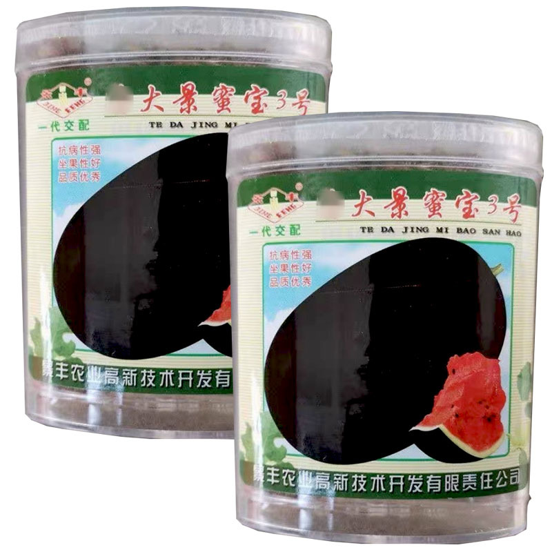 景丰特大景蜜宝3号西瓜种子50g高糖脆沙瓤耐重茬大果型