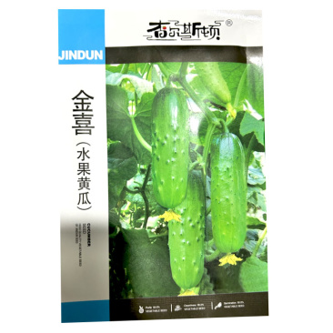 金喜水果黄瓜种子早熟旱黄瓜结果多雌性结瓜多无刺