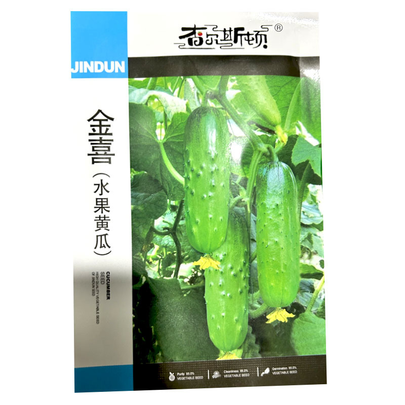 金喜水果黄瓜种子早熟旱黄瓜结果多雌性结瓜多无刺