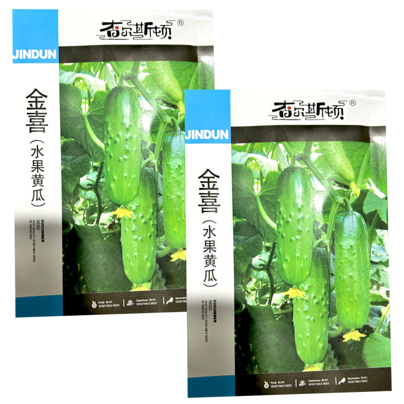 金喜水果黄瓜种子早熟旱黄瓜结果多雌性结瓜多无刺