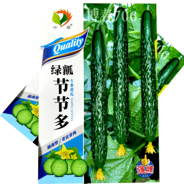 绿瓤节节瓜水果黄瓜种子强雌油亮型瓜肉绿色春夏秋季种植