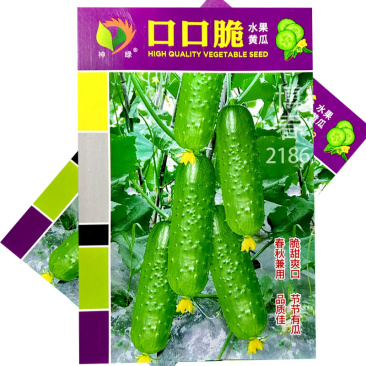 口口脆水果黄瓜种子节节有瓜春秋兼用脆甜爽口短棒形