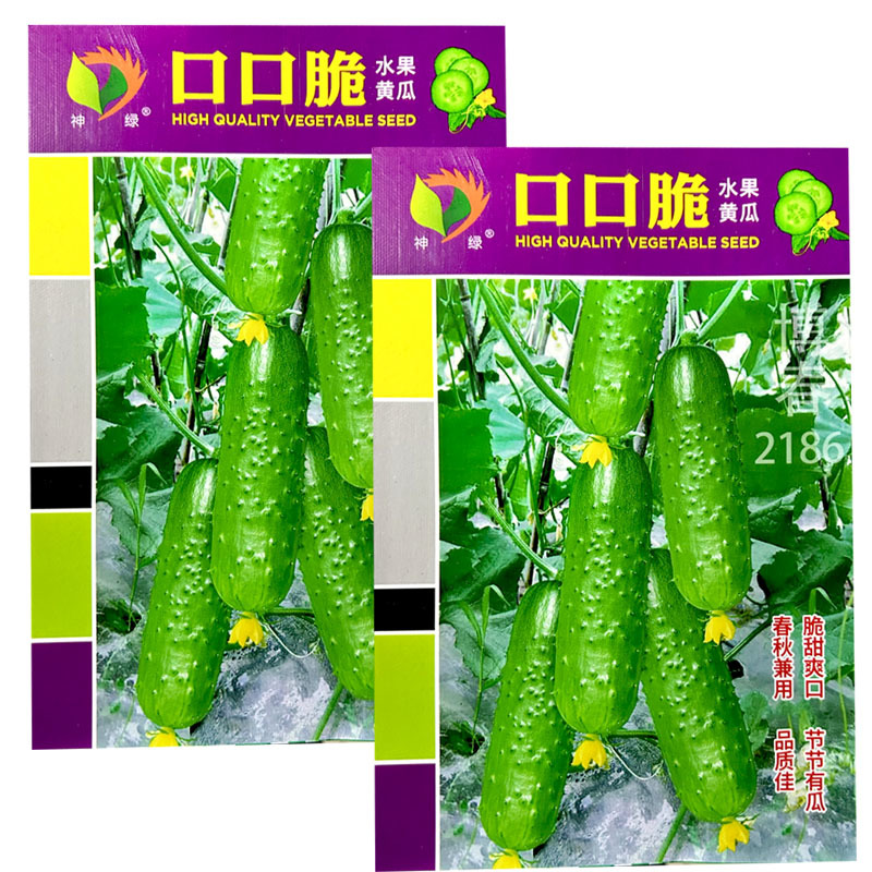 口口脆水果黄瓜种子节节有瓜春秋兼用脆甜爽口短棒形
