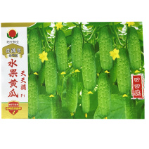 挂满架串串水果黄瓜种子天天摘口口脆瓜绿色肉质脆嫩