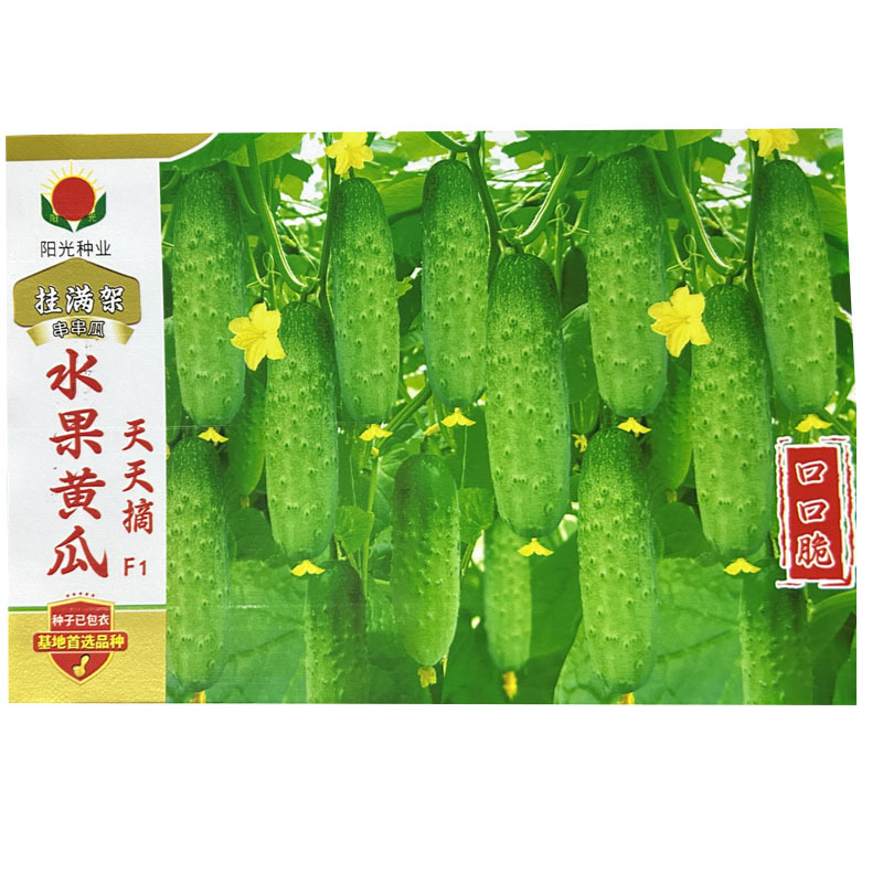 挂满架串串水果黄瓜种子天天摘口口脆瓜绿色肉质脆嫩