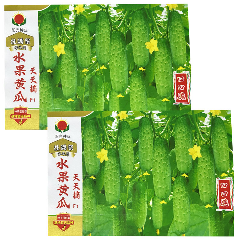 挂满架串串水果黄瓜种子天天摘口口脆瓜绿色肉质脆嫩