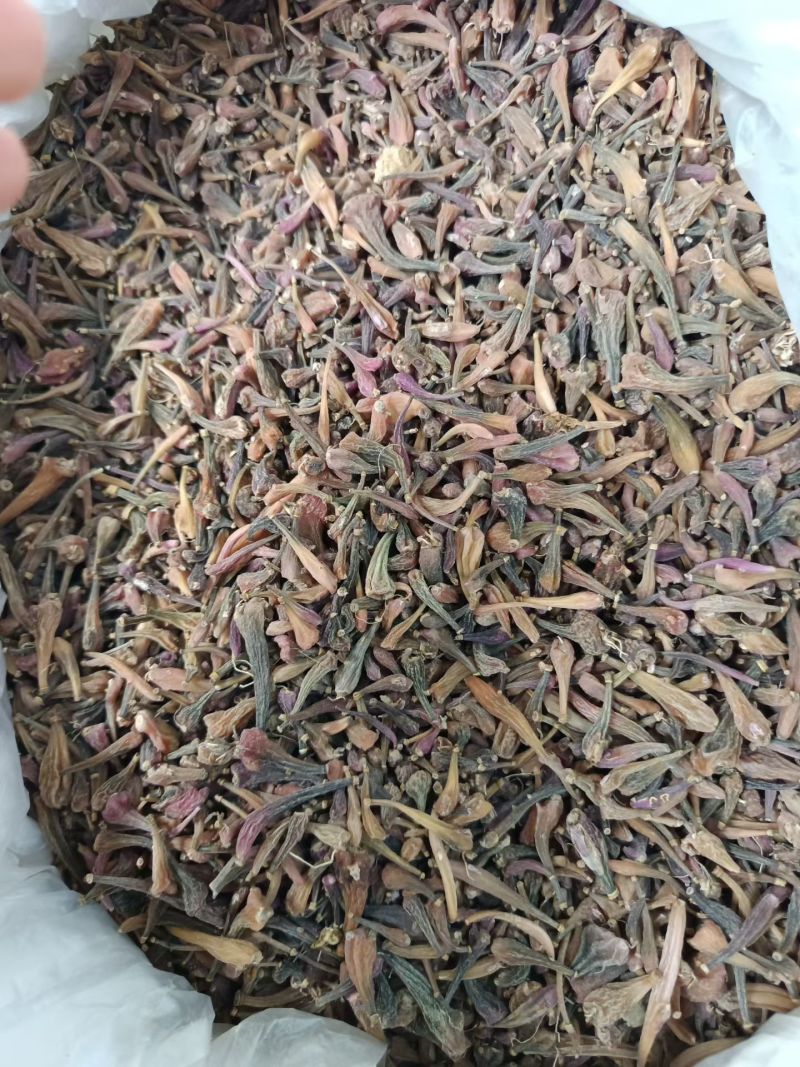 冰球子树上果紫色冰球子绿色冰球子白色冰球子冰球