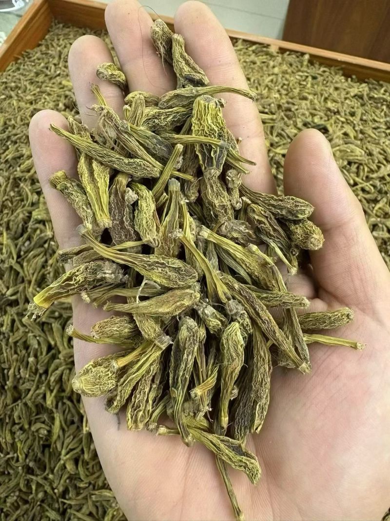 冰球子树上果紫色冰球子绿色冰球子白色冰球子冰球
