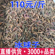冰球子树上果紫色冰球子绿色冰球子白色冰球子冰球